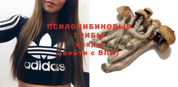 крисы Балахна