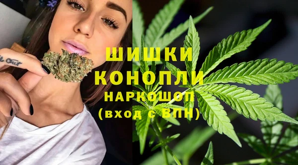 крисы Балахна